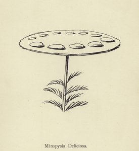 Minspysia Deliciosa  by Edward Lear